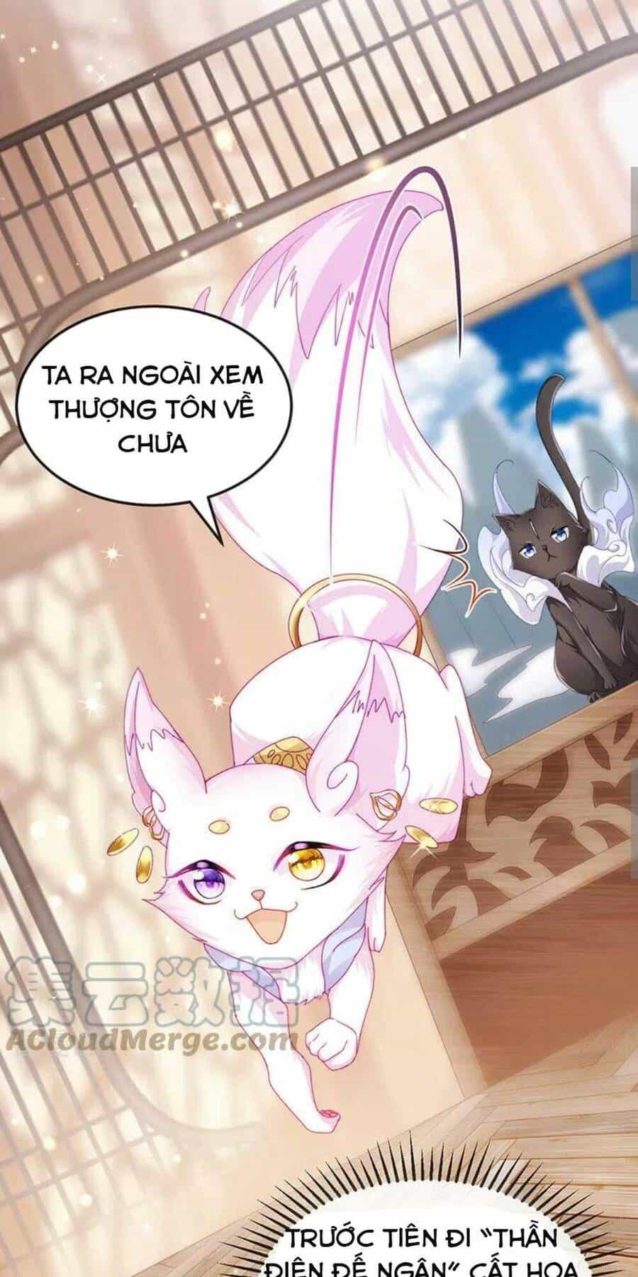 100 Cách Ngược Tra Nữ - Chương 43 - ảnh 7