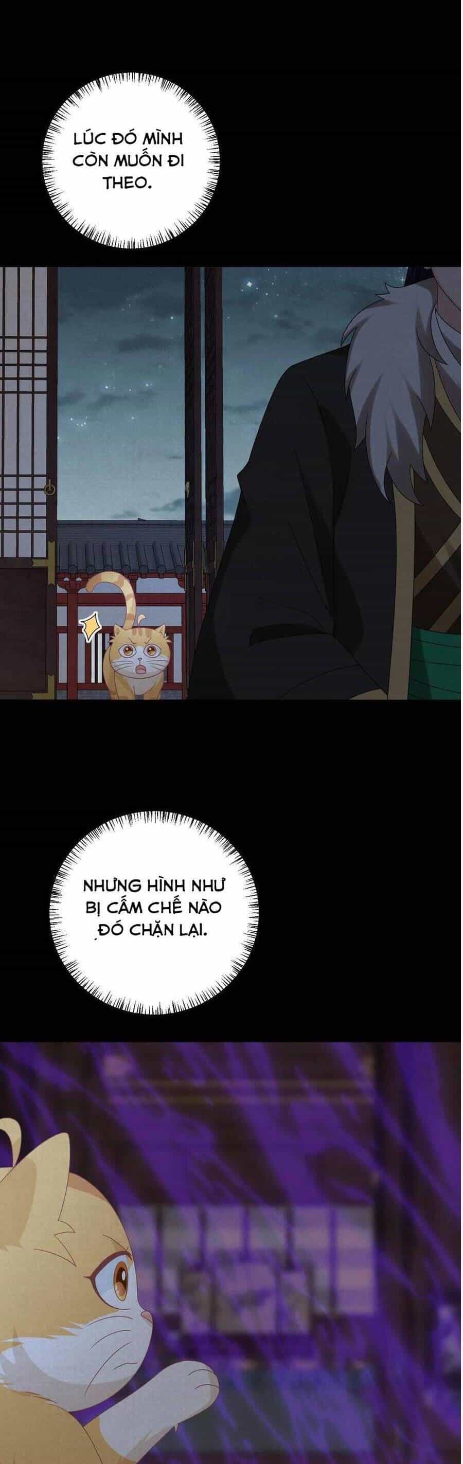 3 Kiếp Xui Xẻo, Kiếp Này Cùng Ta Thần Kinh - Chương 153 - ảnh 6