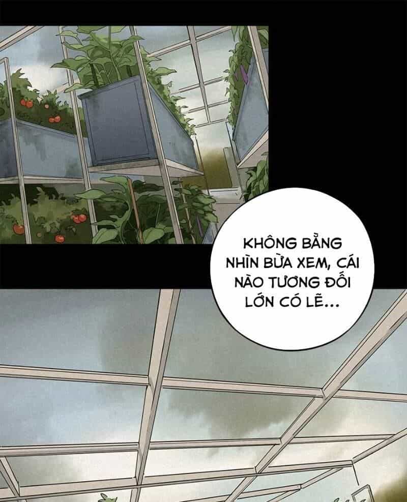 Ách Thế Quỹ Tích - Chương 36 - ảnh 4