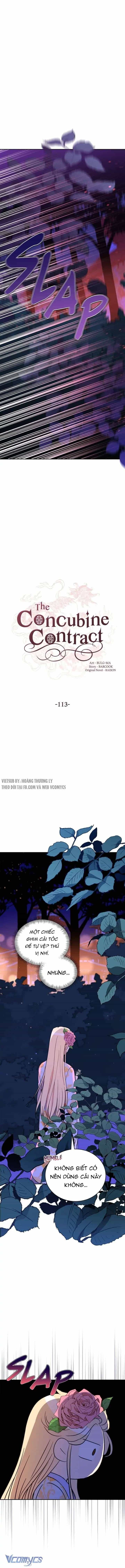 Ái Phi Khế Ước - Chương 113 - ảnh 5