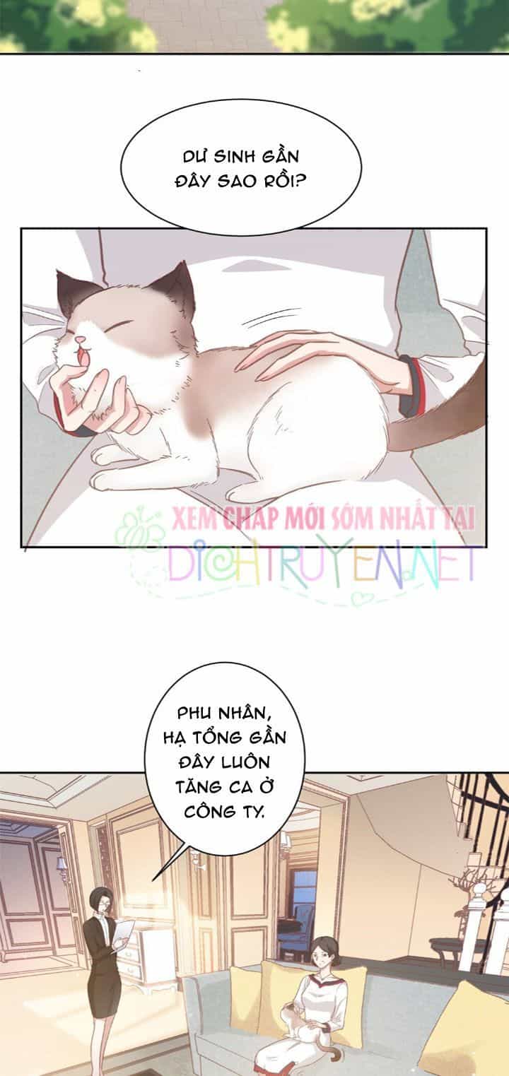 Ẩn Hôn Chí Ái - Chương 11 - ảnh 15