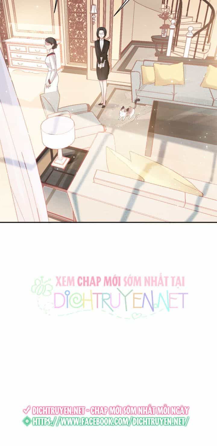 Ẩn Hôn Chí Ái - Chương 11 - ảnh 19