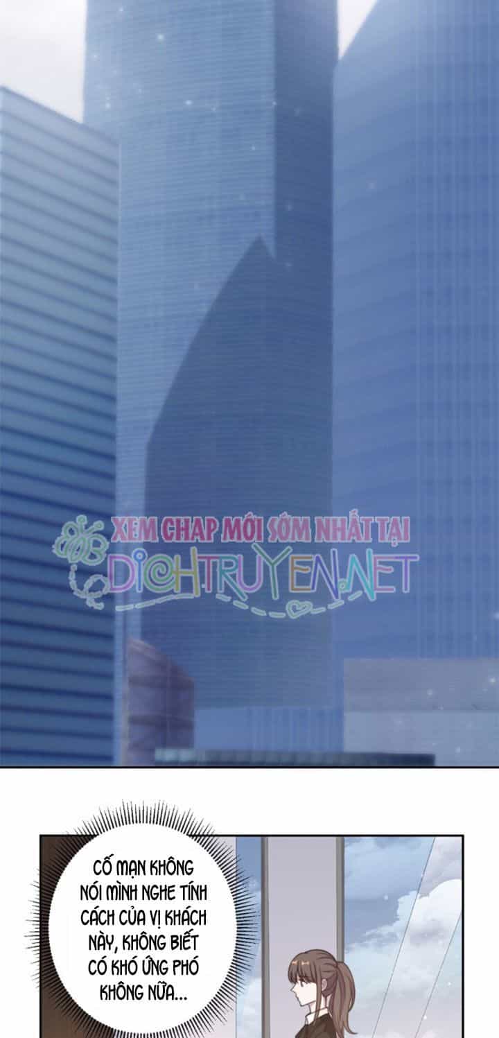 Ẩn Hôn Chí Ái - Chương 28 - ảnh 7