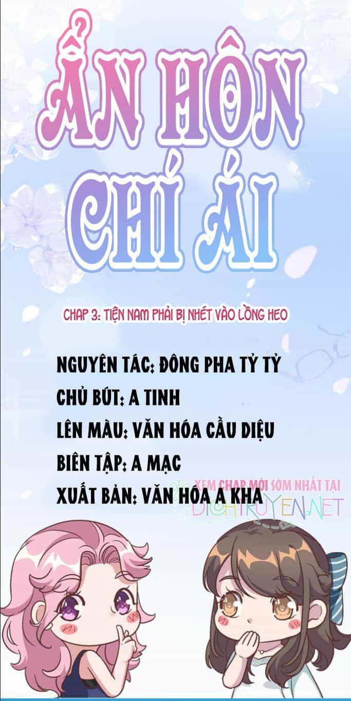 Ẩn Hôn Chí Ái - Chương 3 - ảnh 1