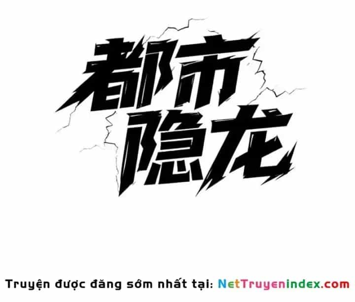 Ẩn Long Đô Thị - Chương 60 - ảnh 14