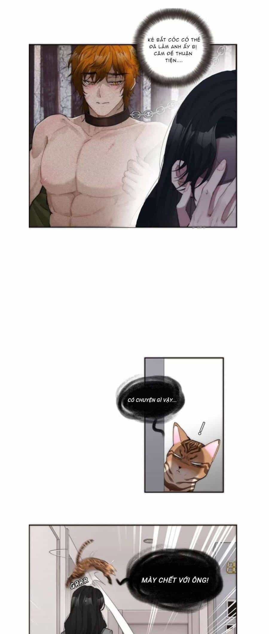 Ân Nhân Của Tôi Không Phải Học Giả - Chương 7 - ảnh 3