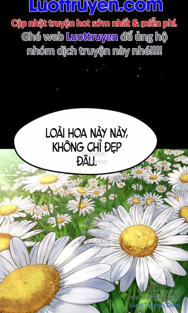 Anh Hùng Mạnh Nhất? Ta Không Làm Lâu Rồi! - Chương 266 - ảnh 31