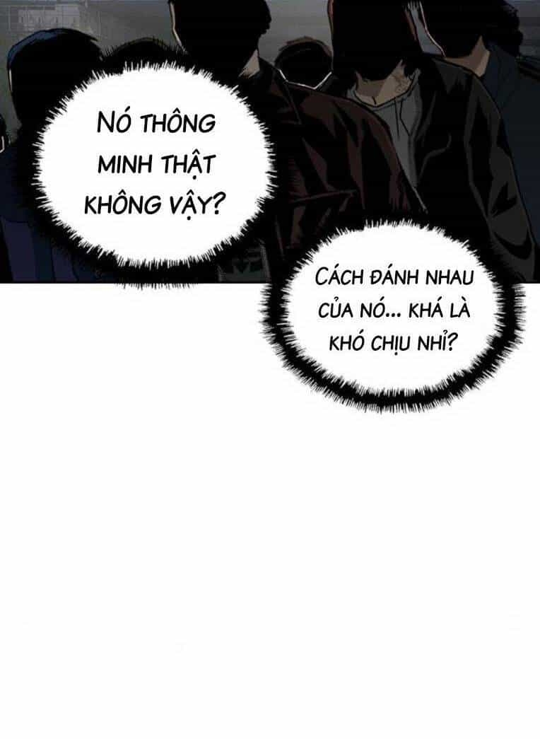 Anh Hùng Yếu - Chương 252 - ảnh 55