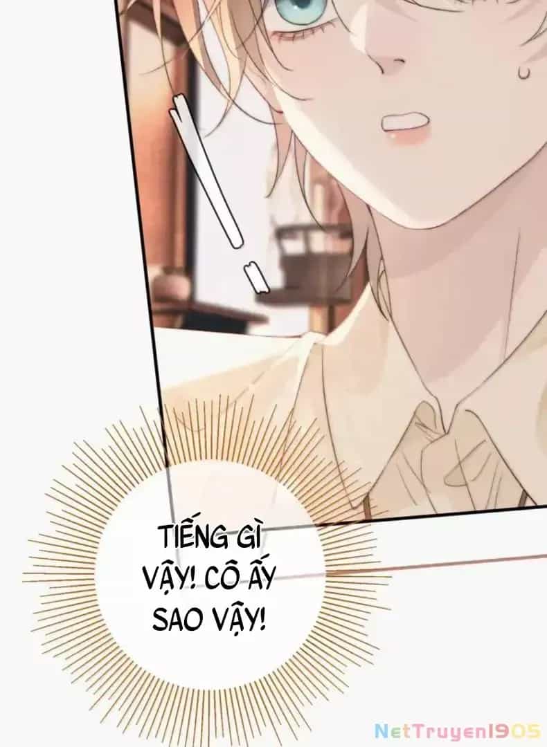 Ảnh Riêng Tư - Chương 41 - ảnh 15