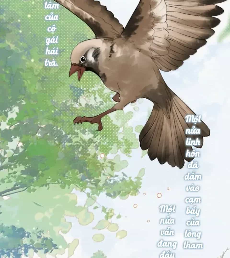 Ảnh Riêng Tư - Chương 42 - ảnh 15