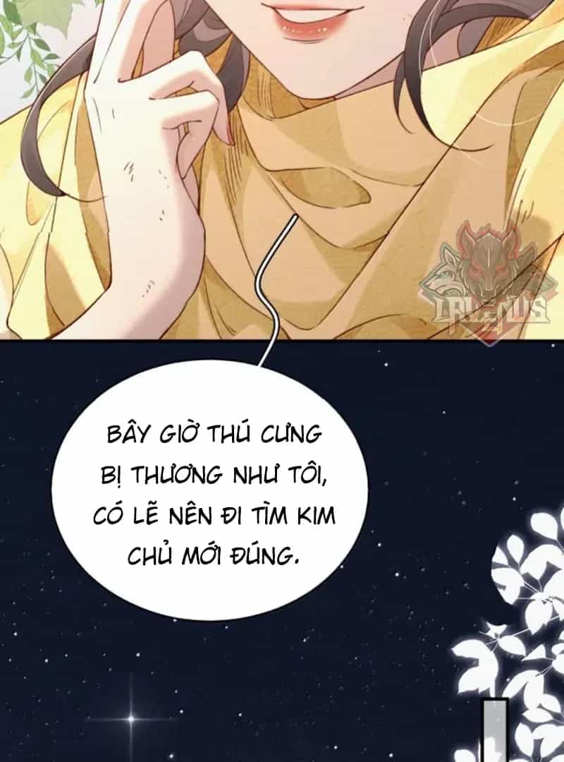 Ảnh Riêng Tư - Chương 50 - ảnh 18