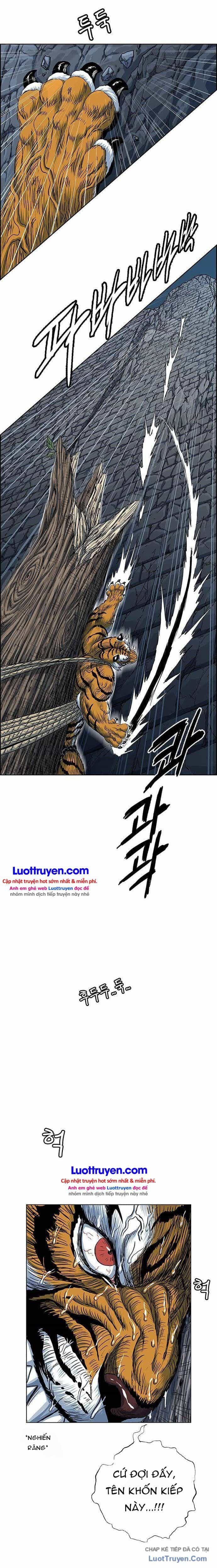 Anh Trai Tôi Là Hổ - Chương 201 - ảnh 21