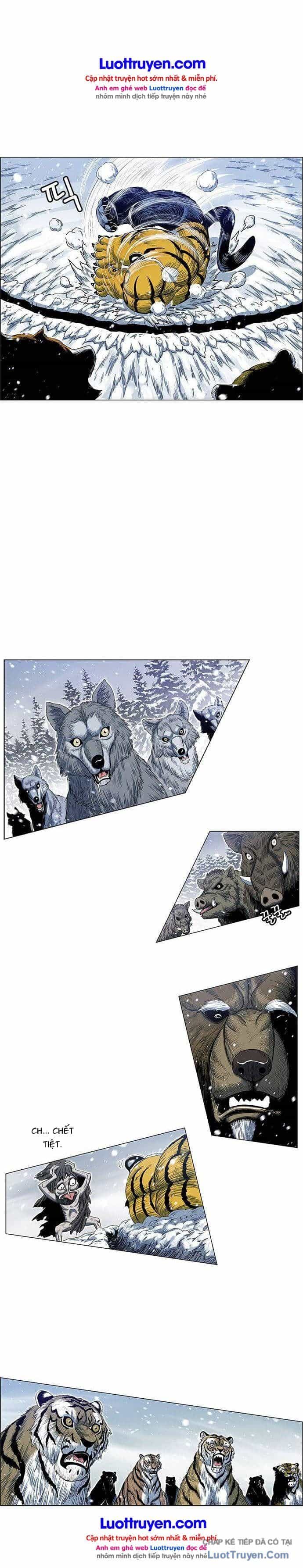Anh Trai Tôi Là Hổ - Chương 235 - ảnh 18