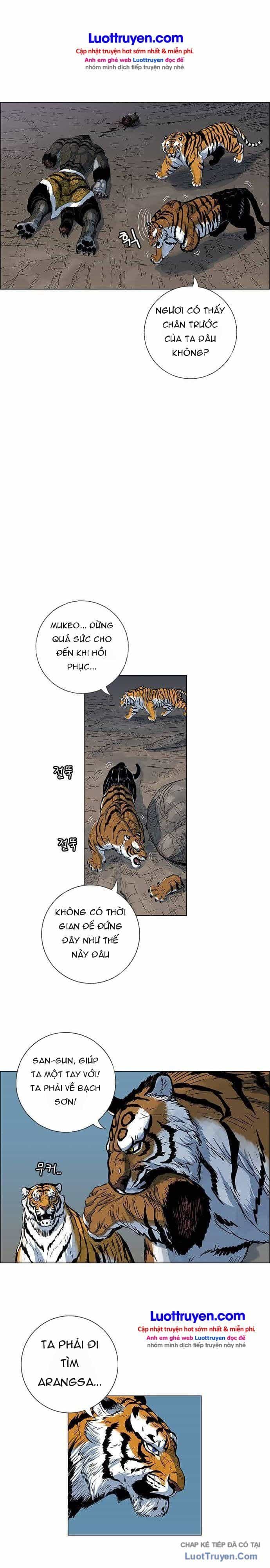 Anh Trai Tôi Là Hổ - Chương 244 - ảnh 30