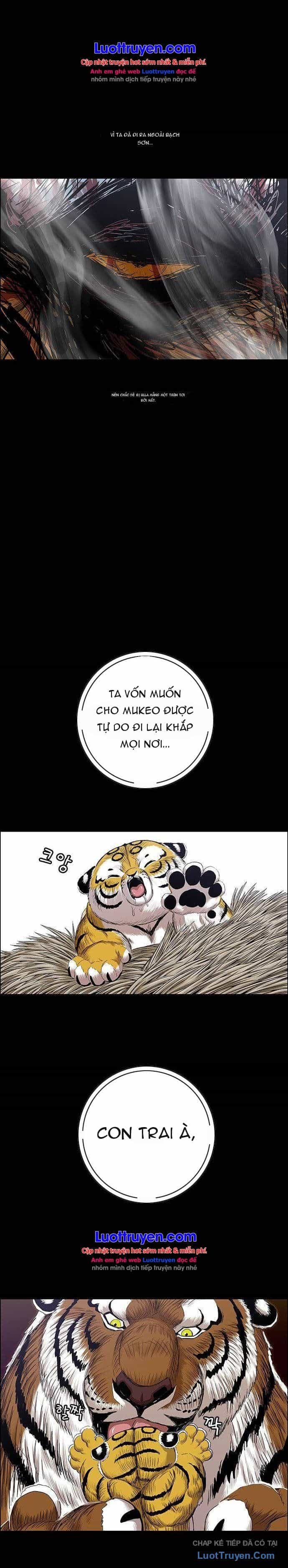 Anh Trai Tôi Là Hổ - Chương 251 - ảnh 24