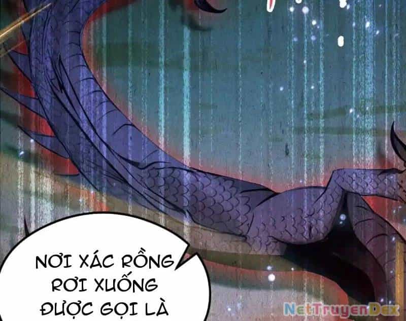 Ảo Ma! Ta Mở Lớp Huấn Luyện Nữ Đế! - Chương 64 - ảnh 116