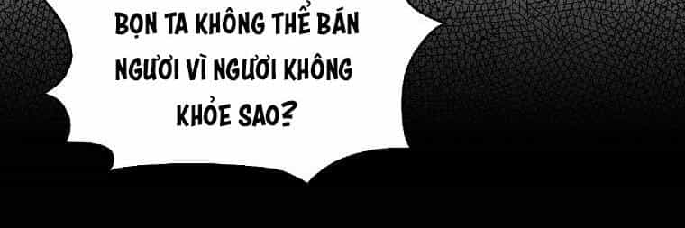 Ba Người Anh Trai Của Tôi Là Bạo Quân - Chương 66 - ảnh 48