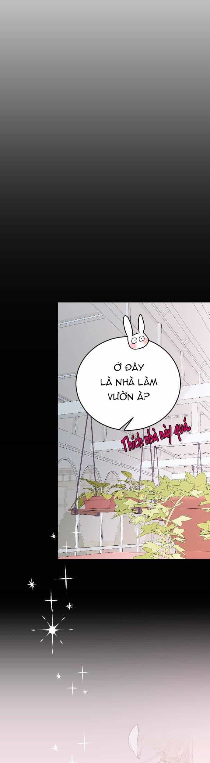 Ba Người Anh Trai Cực Phẩm Của Tôi - Chương 35 - ảnh 17