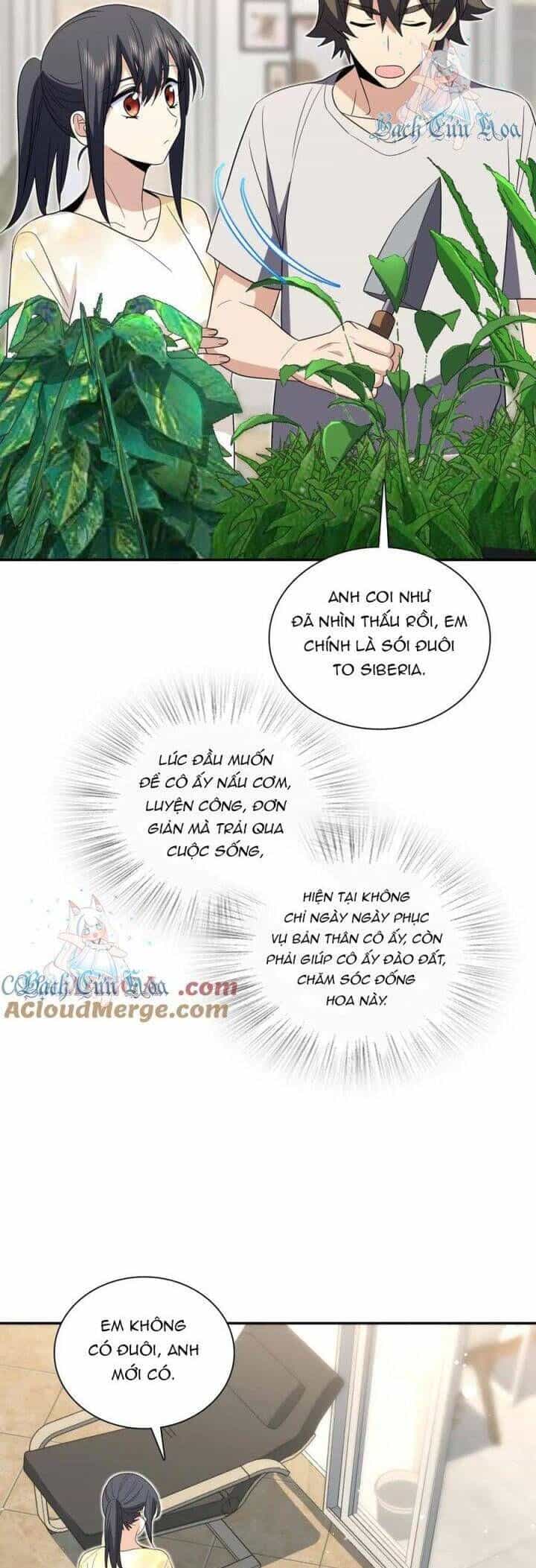 Bà Xã Nhà Tôi Đến Từ Ngàn Năm Trước - Chương 323 - ảnh 17