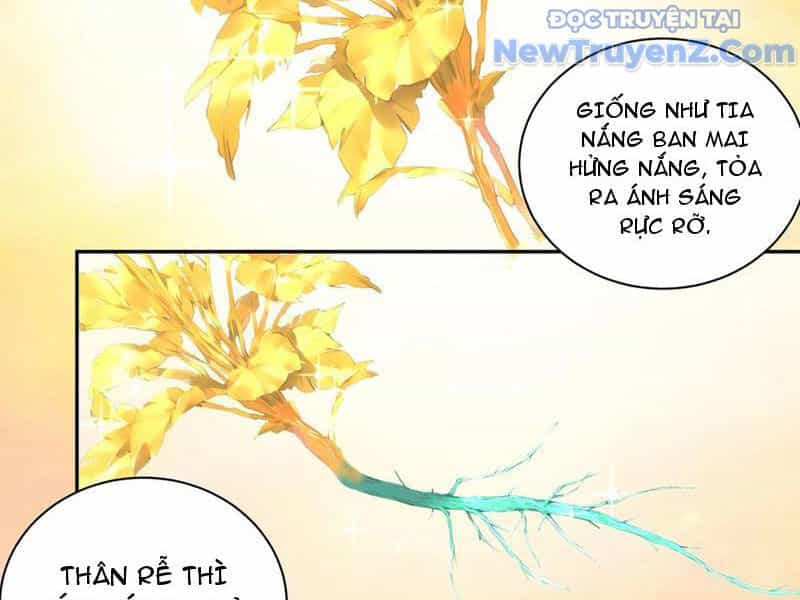 Bách Thê Phổ: Thánh Nữ Đều Gọi Ta Là Phu Quân - Chương 55 - ảnh 18