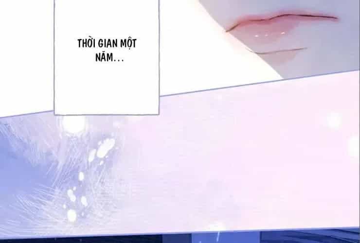 Bạn Gái Tôi Ấm Áp Tựa Như Xương Rồng Nở Hoa - Chương 70 - ảnh 65