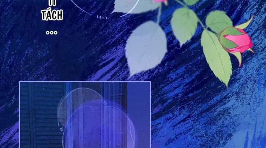 Bạn Gái Tôi Ấm Áp Tựa Như Xương Rồng Nở Hoa - Chương 72 - ảnh 42