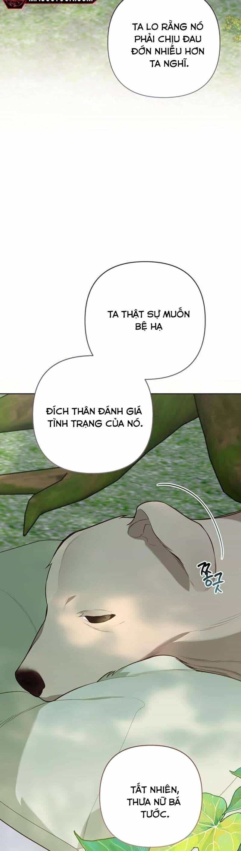 Bạo Chúa Bé Con - Chương 94 - ảnh 17