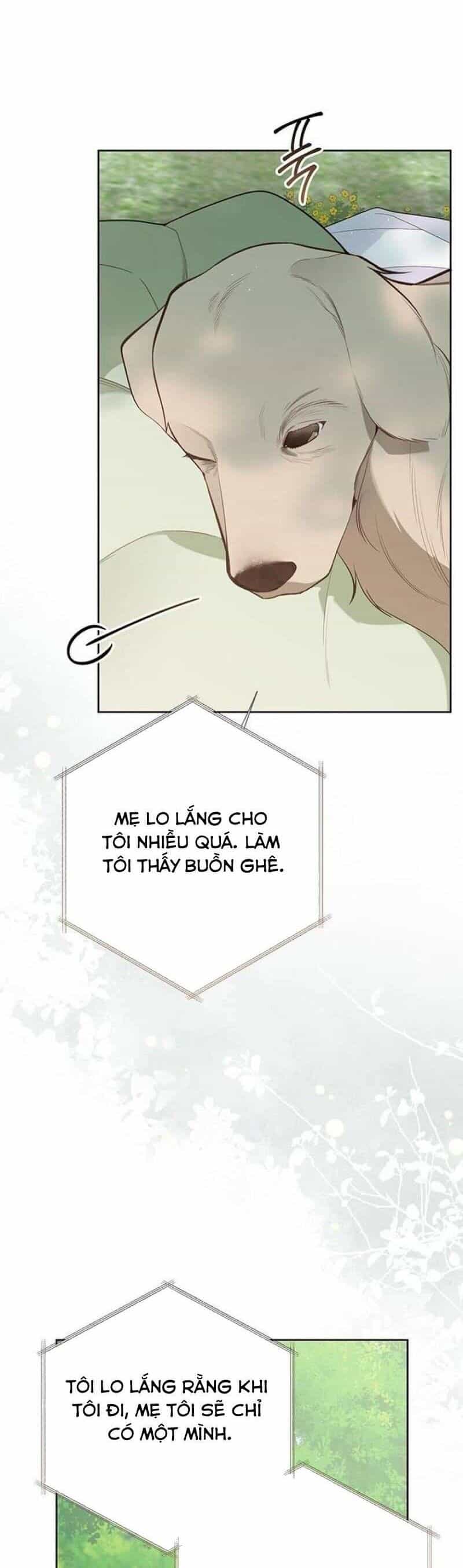 Bạo Chúa Bé Con - Chương 94 - ảnh 20