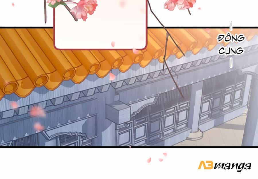 Bạo Sủng Tiểu Manh Phi - Chương 24 - ảnh 17