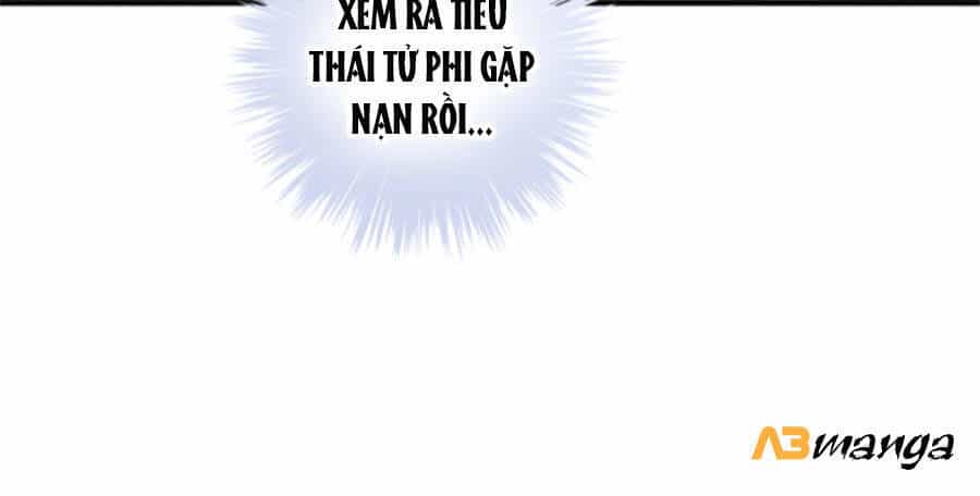 Bạo Sủng Tiểu Manh Phi - Chương 47 - ảnh 20