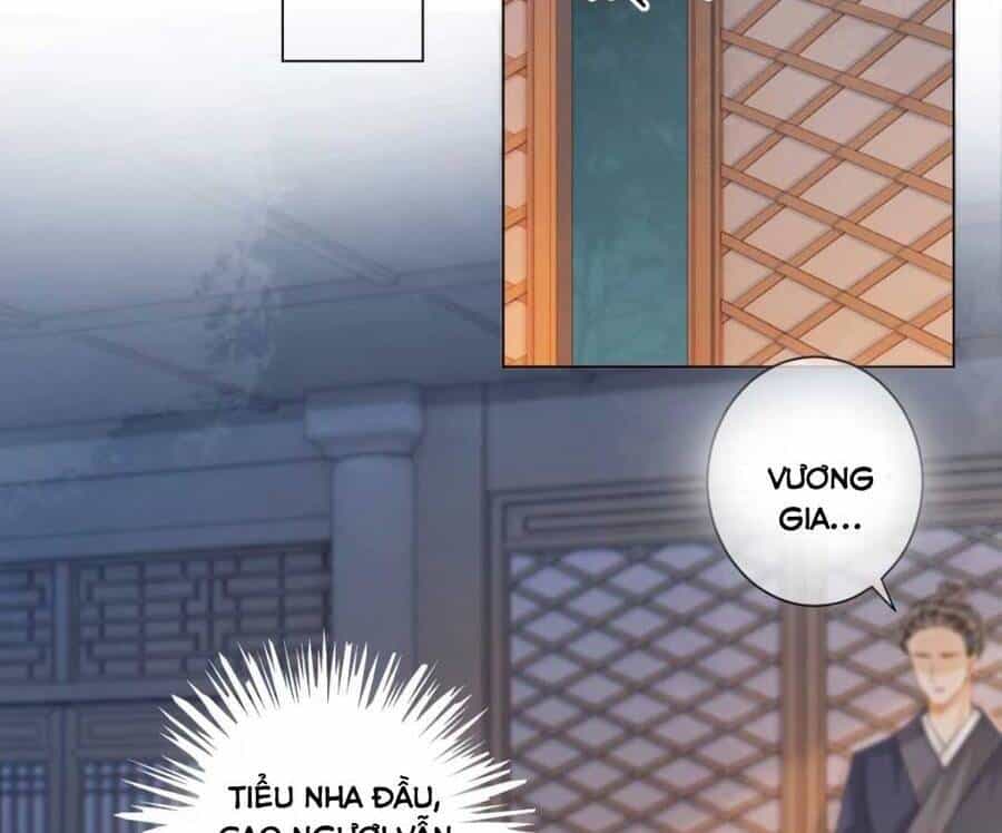 Bắt Đầu Hủy Hôn Để Công Lược Vương Gia - Chương 8 - ảnh 30