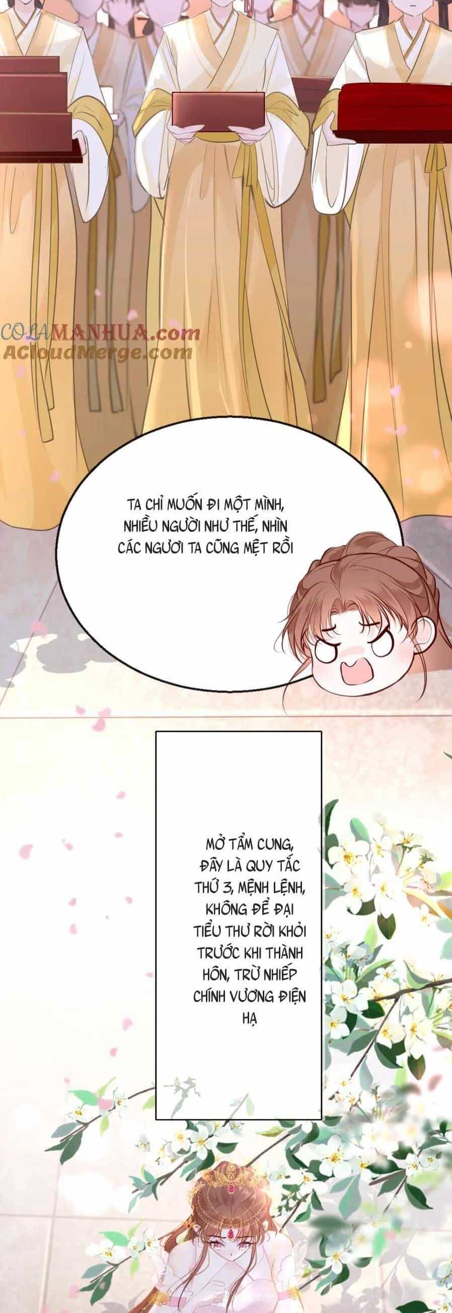Bắt Đầu Hủy Hôn Để Công Lược Vương Gia - Chương 101 - ảnh 25
