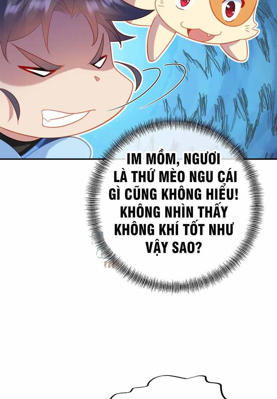 Bắt Đầu Quật Khởi Từ Làm Lô Đỉnh - Chương 52 - ảnh 22