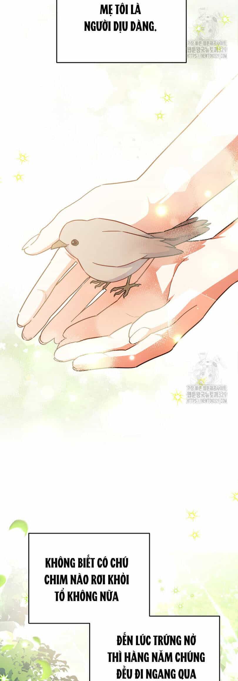 Bé Con Chốn Hoa Nở - Chương 43 - ảnh 8