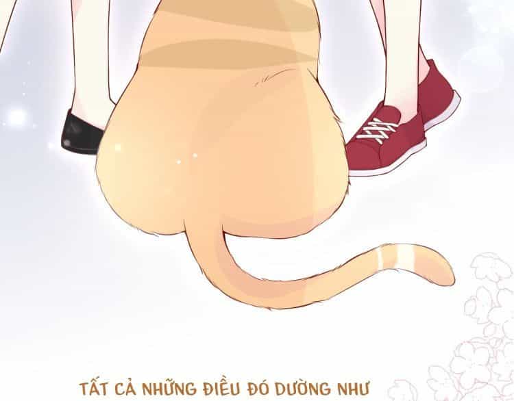 Bên Anh Mới Là Cả Thế Giới - Chương 0 - ảnh 18