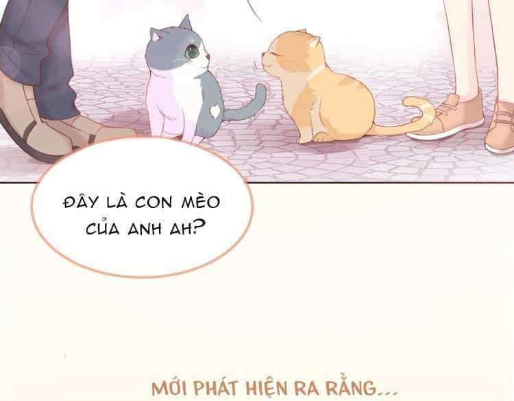 Bên Anh Mới Là Cả Thế Giới - Chương 5 - ảnh 28