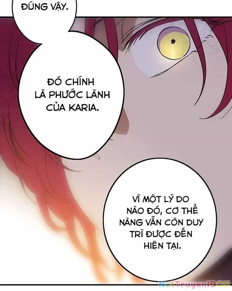Bị Che Khuất Bởi Mặt Trời Lặn - Chương 179 - ảnh 97