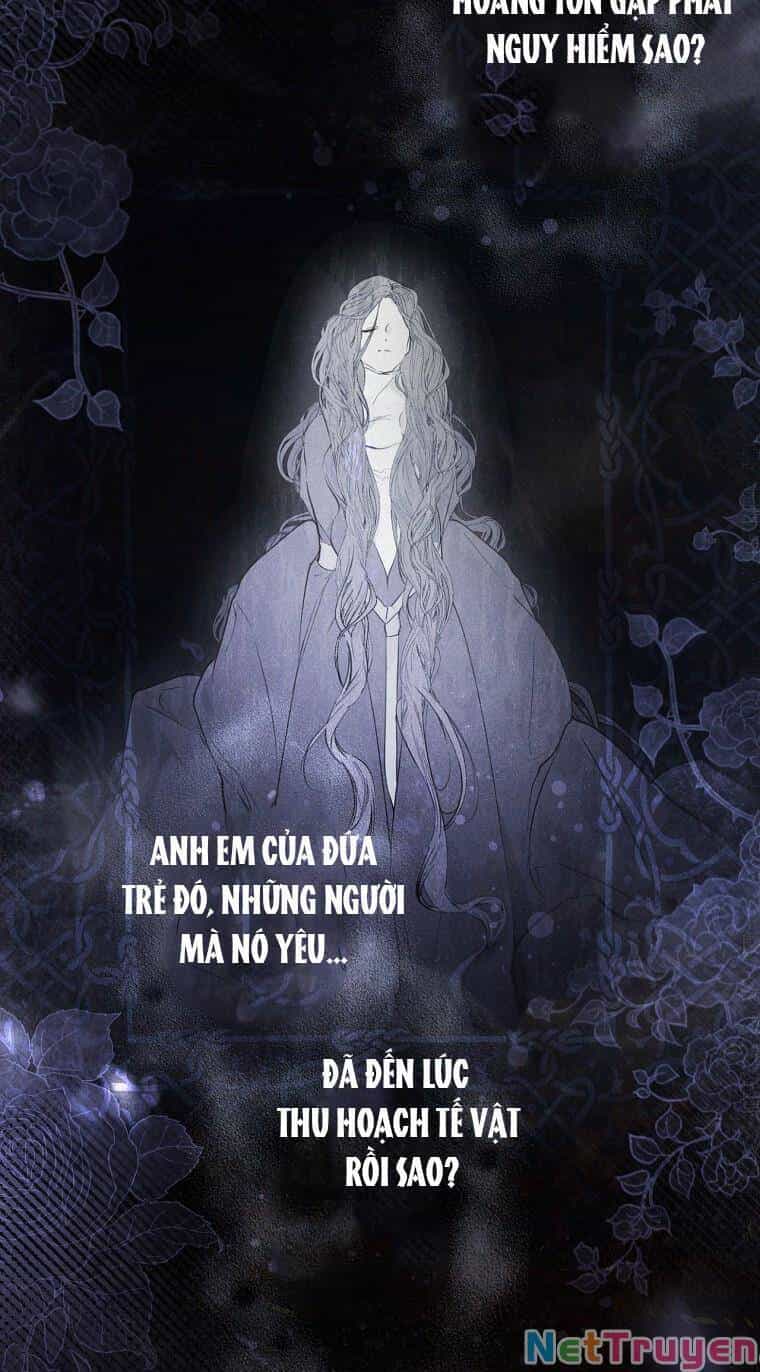 Bí Mật Của Quý Cô - Chương 67.2 - ảnh 4