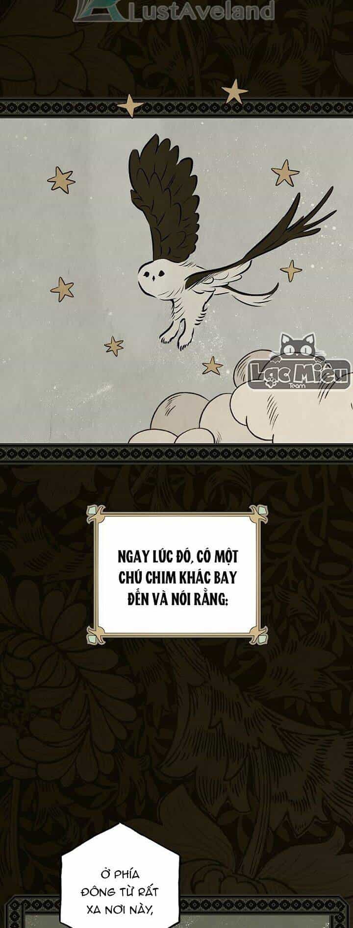 Bí Mật Của Quý Cô - Chương 48 - ảnh 20