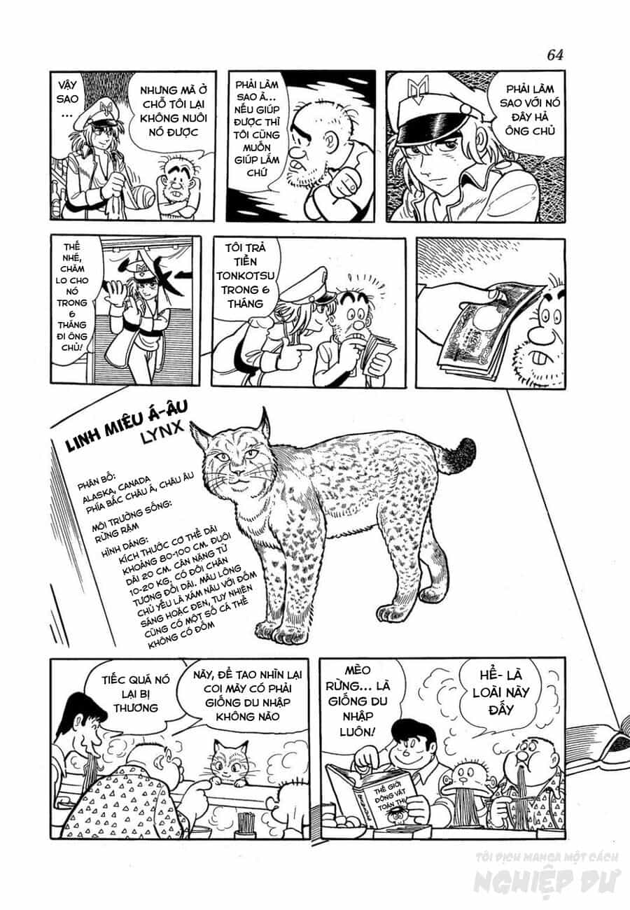 Black Jack Gaiden: Midnight - Chương 3 - ảnh 10