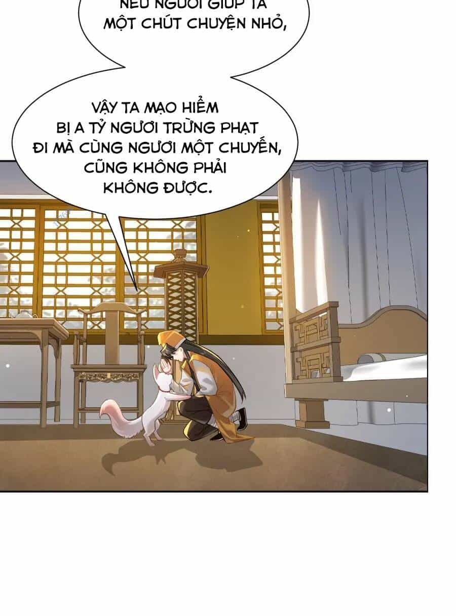 Bói Toán Mà Thôi, Cửu Vĩ Yêu Đế Sao Lại Thành Nương Tử Ta?! - Chương 24 - ảnh 64