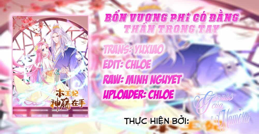 Bổn Vương Phi Có Roi Trong Tay - Chương 14 - ảnh 1
