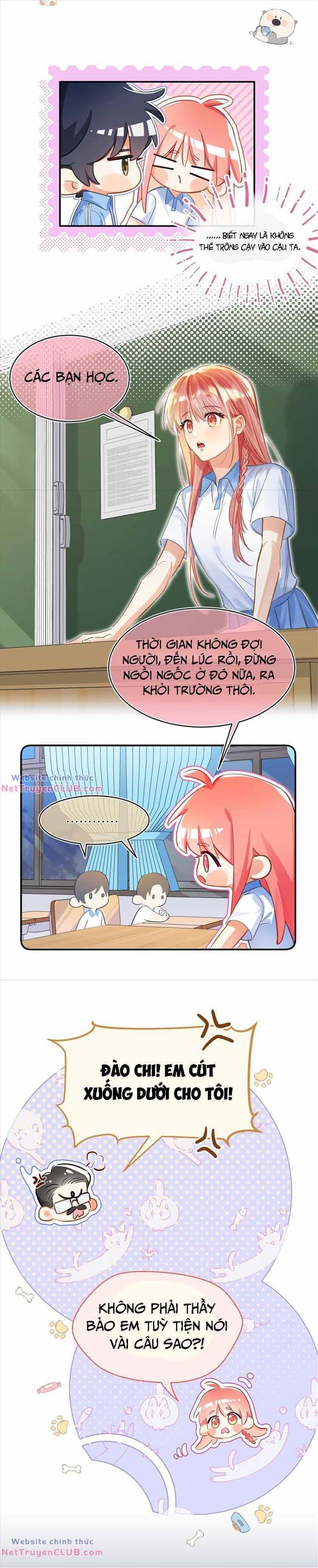 Bong Bóng Đào Chi - Chương 13 - ảnh 8