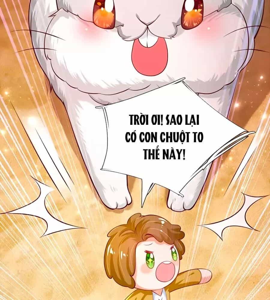 Bỗng Một Ngày Trở Thành Con Gái Nhà Vua - Chương 157 - ảnh 25