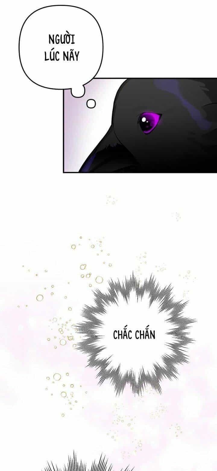 Bỗng Nhiên Tôi Trở Thành Quạ Đen!! - Chương 2 - ảnh 23