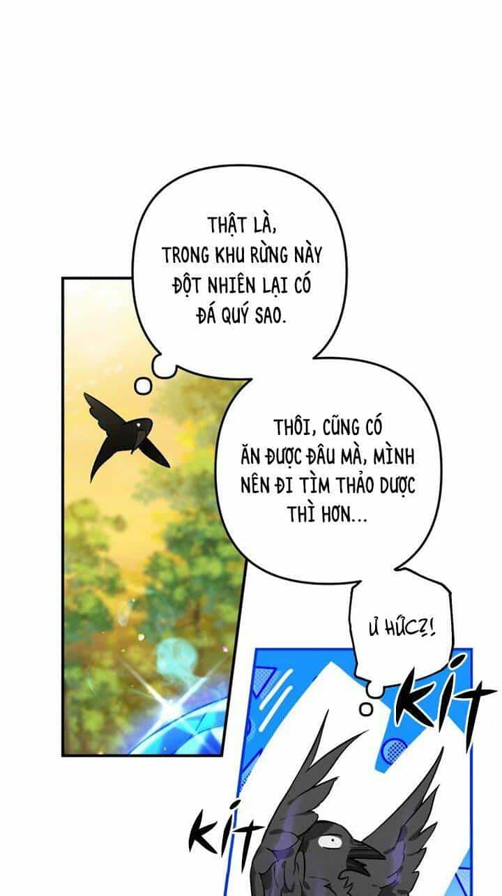 Bỗng Nhiên Tôi Trở Thành Quạ Đen!! - Chương 3 - ảnh 38