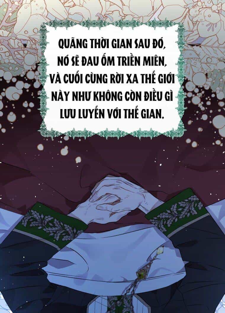Bỗng Nhiên Tôi Trở Thành Quạ Đen!! - Chương 7 - ảnh 42