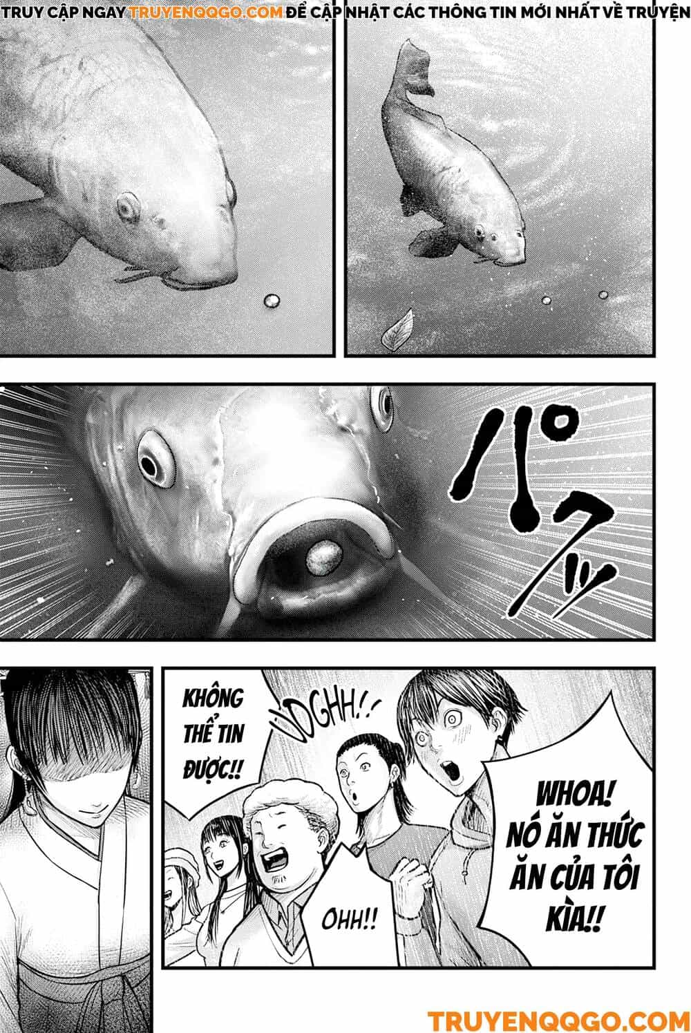 Cá Koi Nishiki - Chương 1 - ảnh 31