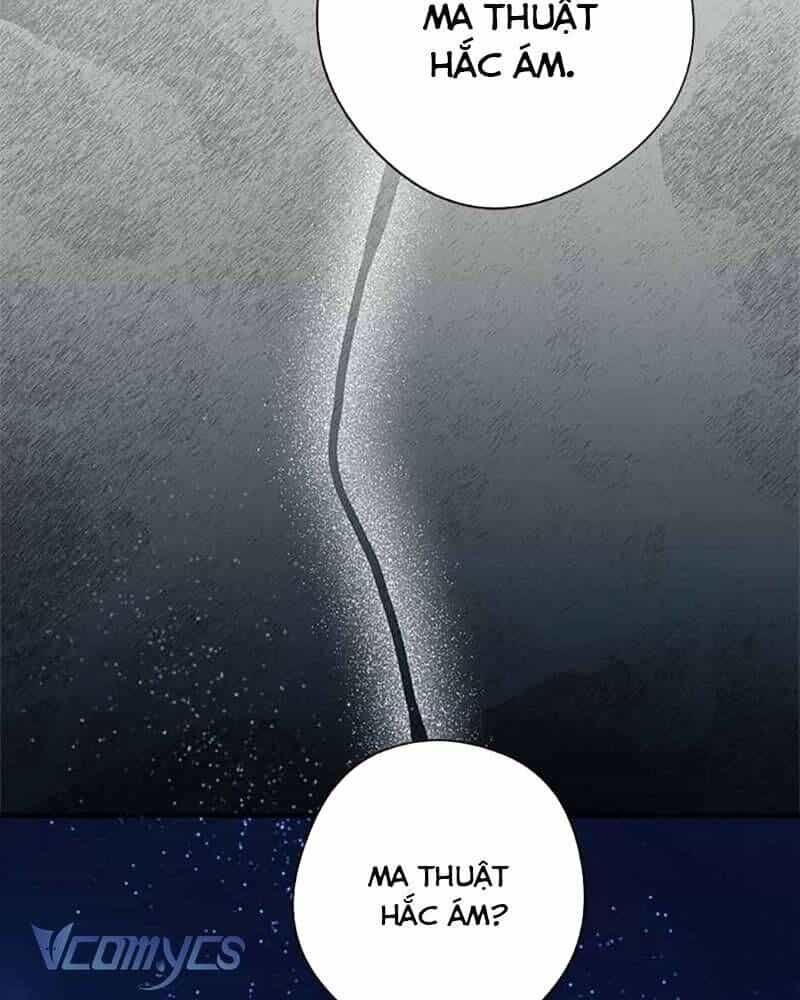 Các Nam Chính Đã Bị Nữ Phụ Cướp Mất - Chương 40 - ảnh 16