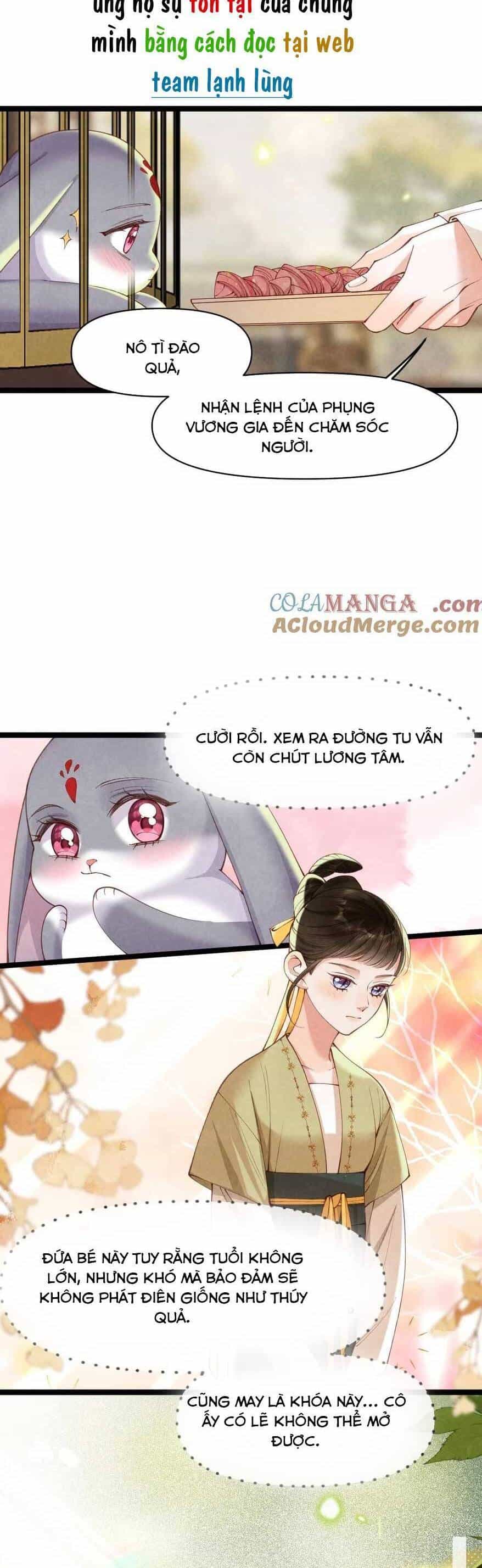 Cách Để Tồn Tại Như Một Cống Phẩm - Chương 16 - ảnh 5